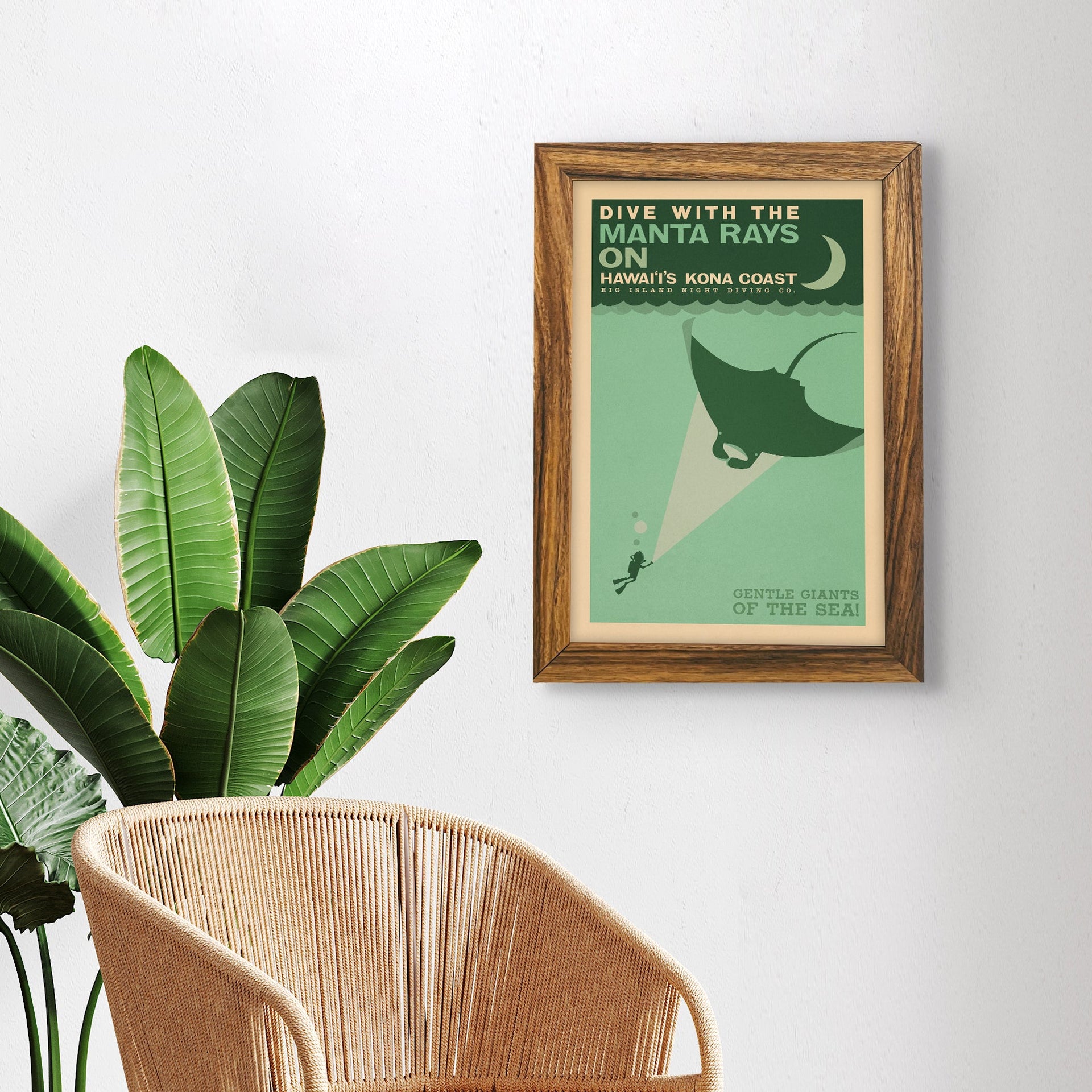 Framed Kona Manta Ray Hawai‘i Island art print displayed in modern coastal home