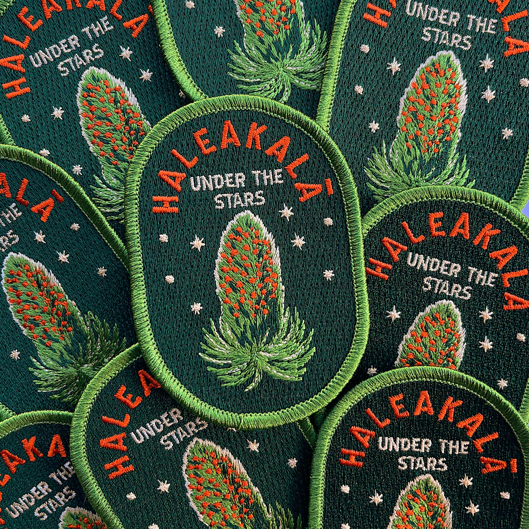 Haleakalā Crater Maui Patch Vintage Style Iron On Patch